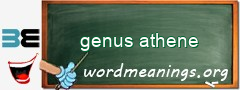 WordMeaning blackboard for genus athene